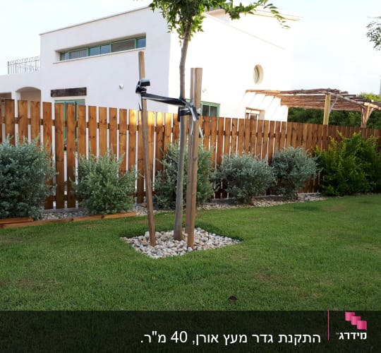 גדר עץ עם שיחים ואבנים בגינה